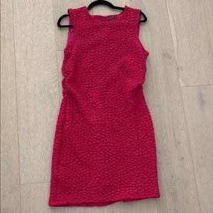 Anthropologie Hot Pink Textured Mini Sheath Dress